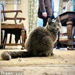 Estevan Wunsch Profile Picture