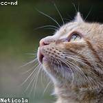 Amely Pouros Profile Picture